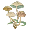 🧚‍♀ Эмодзи «𓊆𝓕𝖺𝗂𝗋𝗒𝓛 𝖺𝗇𝖽 𐙚» для Telegram