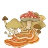 🧚‍♀ Эмодзи «𓊆𝓕𝖺𝗂𝗋𝗒𝓛 𝖺𝗇𝖽 𐙚» для Telegram