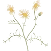 🧚‍♀ Эмодзи «𓊆𝓕𝖺𝗂𝗋𝗒𝓛 𝖺𝗇𝖽 𐙚» для Telegram