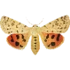 🦋 Эмодзи «Fauna» для Telegram