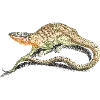 🦎 Эмодзи «Fauna» для Telegram