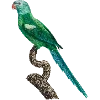 🦜 Эмодзи «Fauna» для Telegram