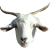 🐐 Эмодзи «Fauna» для Telegram