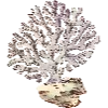 🪸 Эмодзи «Fauna» для Telegram