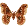 🦋 Эмодзи «Fauna» для Telegram