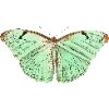 🦋 Эмодзи «Fauna» для Telegram