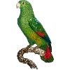 🦜 Эмодзи «Fauna» для Telegram