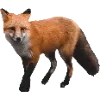 🦊 Эмодзи «Fauna» для Telegram