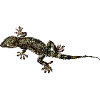 🐍 Эмодзи «Fauna» для Telegram