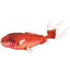 🐠 Эмодзи «Fauna» для Telegram