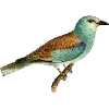 🦜 Эмодзи «Fauna» для Telegram
