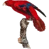 🦜 Эмодзи «Fauna» для Telegram