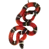 🐍 Эмодзи «Fauna» для Telegram