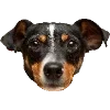 🐕‍🦺 Эмодзи «Fauna» для Telegram