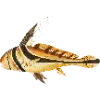 🐠 Эмодзи «Fauna» для Telegram