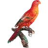 🦜 Эмодзи «Fauna» для Telegram