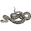 🐍 Эмодзи «Fauna» для Telegram