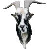 🐐 Эмодзи «Fauna» для Telegram