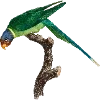 🦜 Эмодзи «Fauna» для Telegram