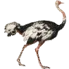 🦩 Эмодзи «Fauna» для Telegram