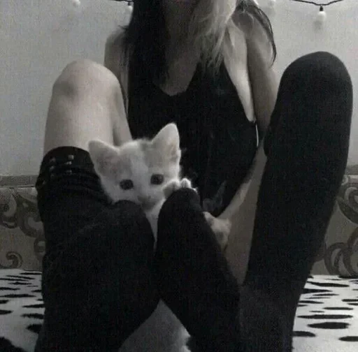 😻 Стикер «Random» для Telegram