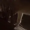 🐈‍⬛ Эмодзи «Fennec» для Telegram