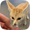 🌟 Эмодзи «Fennec» для Telegram