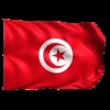 🇹🇳 Эмодзи «Flags» для Telegram