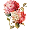 💐 Эмодзи «AESTHETIC COLLECTION» для Telegram