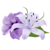 🌸 Эмодзи «🌹 Flowers - цветы» для Telegram