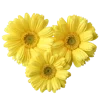 🌼 Эмодзи «🌹 Flowers - цветы» для Telegram