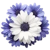🌸 Эмодзи «🌹 Flowers - цветы» для Telegram