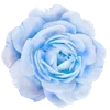 🌸 Эмодзи «🌹 Flowers - цветы» для Telegram