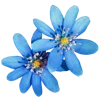 🌸 Эмодзи «🌹 Flowers - цветы» для Telegram