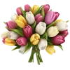 💐 Эмодзи «🌹 Flowers - цветы» для Telegram