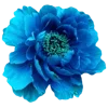 🌺 Эмодзи «🌹 Flowers - цветы» для Telegram