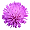 🪻 Эмодзи «🌹 Flowers - цветы» для Telegram