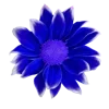 🌺 Эмодзи «🌹 Flowers - цветы» для Telegram