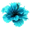 🪻 Эмодзи «🌹 Flowers - цветы» для Telegram