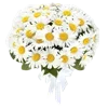 🌼 Эмодзи «🌹 Flowers - цветы» для Telegram