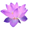 🌸 Эмодзи «🌹 Flowers - цветы» для Telegram