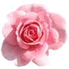 🌹 Эмодзи «Flowers Aesthetics» для Telegram