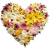 💛 Эмодзи «Flowers Aesthetics» для Telegram