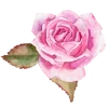 🌺 Эмодзи «Flowers Aesthetics» для Telegram
