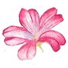 💐 Эмодзи «Flowers Aesthetics» для Telegram
