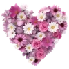 💛 Эмодзи «Flowers Aesthetics» для Telegram