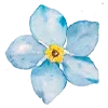 🌸 Эмодзи «Flowers Aesthetics» для Telegram