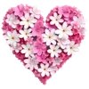 💛 Эмодзи «Flowers Aesthetics» для Telegram