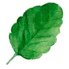 ☘️ Эмодзи «Flowers Aesthetics» для Telegram