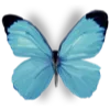 🦋 Эмодзи «Flowers Aesthetics» для Telegram